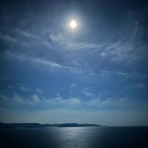 camp02_和歌山・有田市の絶景貸し切りキャンプ場