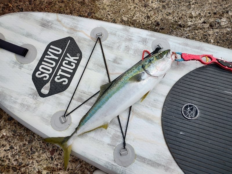 IMG_20230605_162251495_HDR