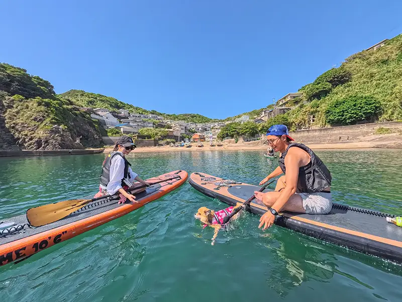 SUPって、実は「年配の方のスポーツ」なんです。わんちゃんも楽しんでます